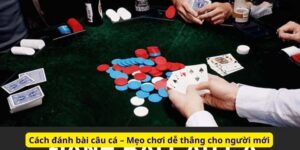 Cách đánh bài câu cá – Mẹo chơi dễ thắng cho người mới