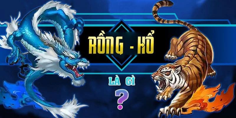 MMWIN: Tổng hợp về game Rồng Hổ trực tuyến làm mưa làm gió