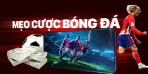 Mẹo cược bóng đá Bongvip